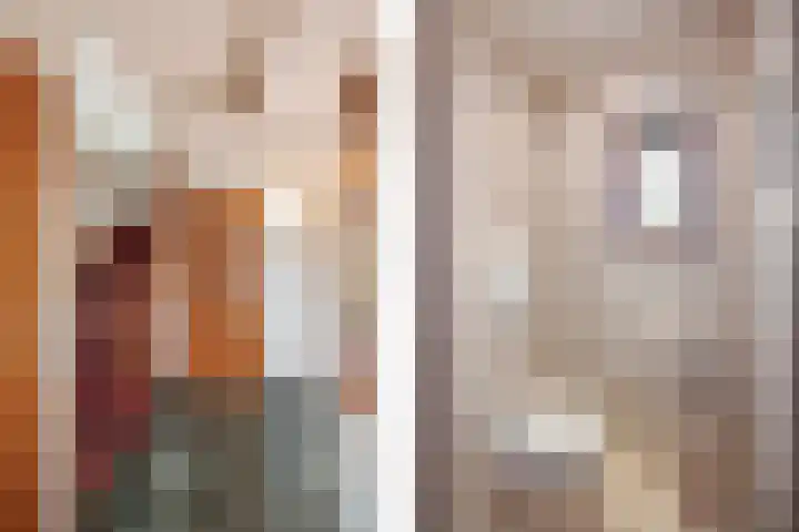 Schepen van Hertefeltstraat 1 Roermond thumbnail 5