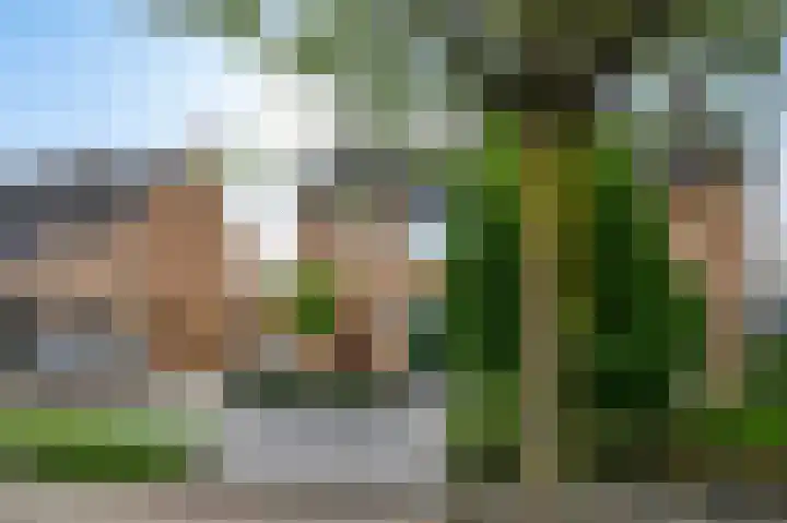 Schepen van Hertefeltstraat 4 Roermond thumbnail 25