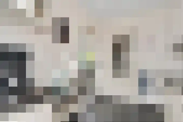 Schepen van Hertefeltstraat 4 Roermond thumbnail 6