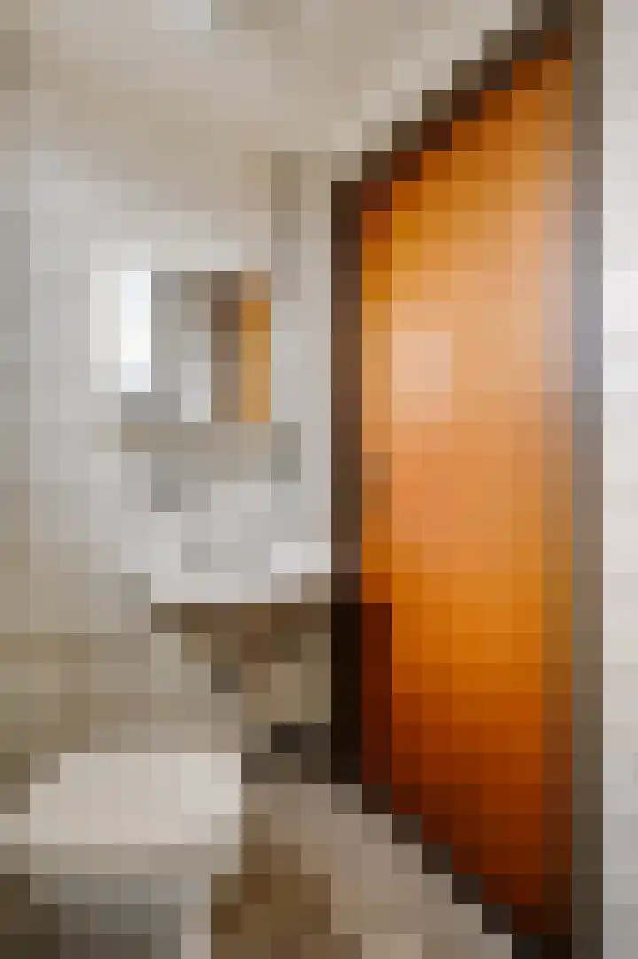 Schepen van Hertefeltstraat 6 Roermond thumbnail 18