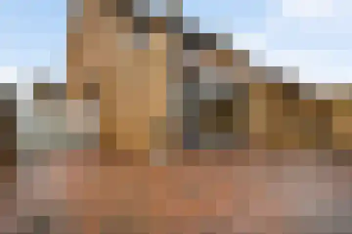 Schepen van Hertefeltstraat 6 Roermond thumbnail 22