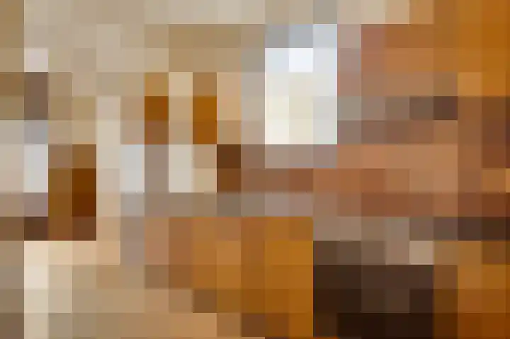 Schepen van Hertefeltstraat 6 Roermond thumbnail 9
