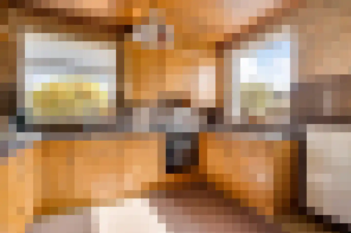 Schepen van Hertefeltstraat 8 Roermond thumbnail 11
