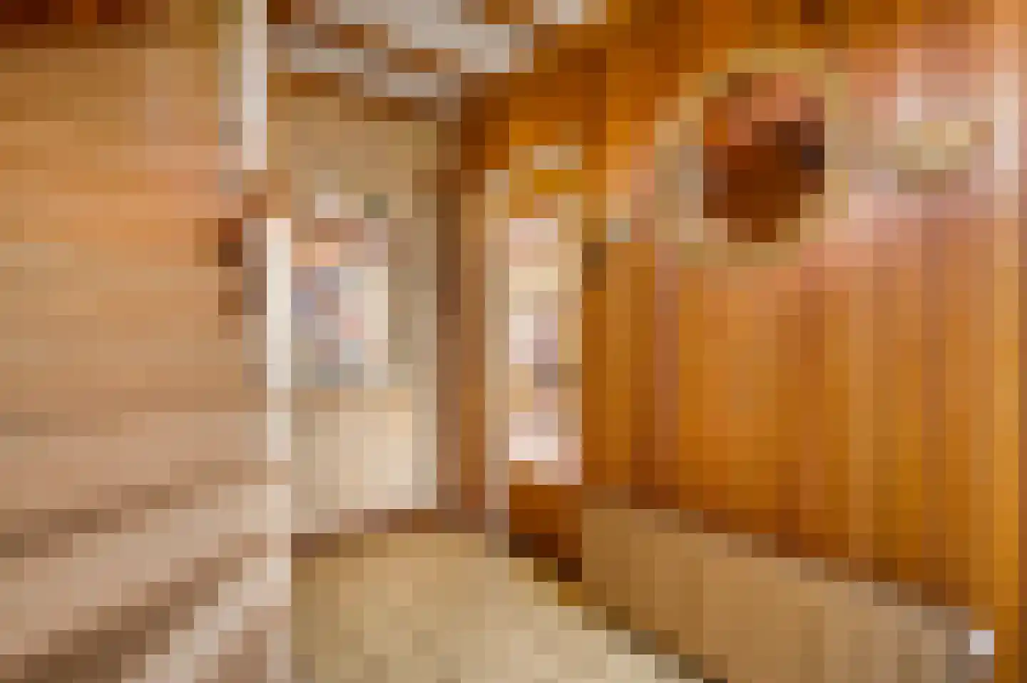 Schepen van Hertefeltstraat 8 Roermond thumbnail 6