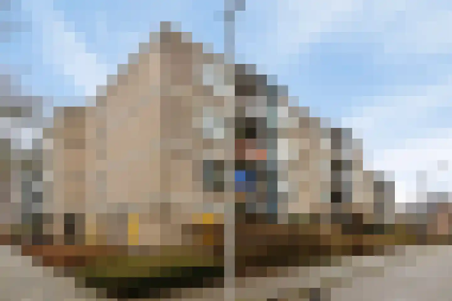 Schepen van Ommerenstraat 114 Arnhem thumbnail 22