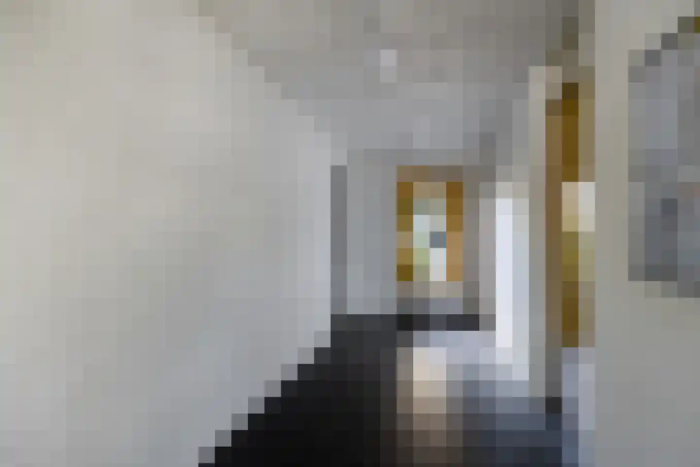 Schepen van Ommerenstraat 126 Arnhem thumbnail 21
