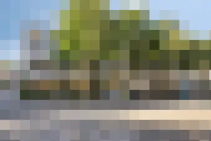 Schepen van Ommerenstraat 144 Arnhem thumbnail 17