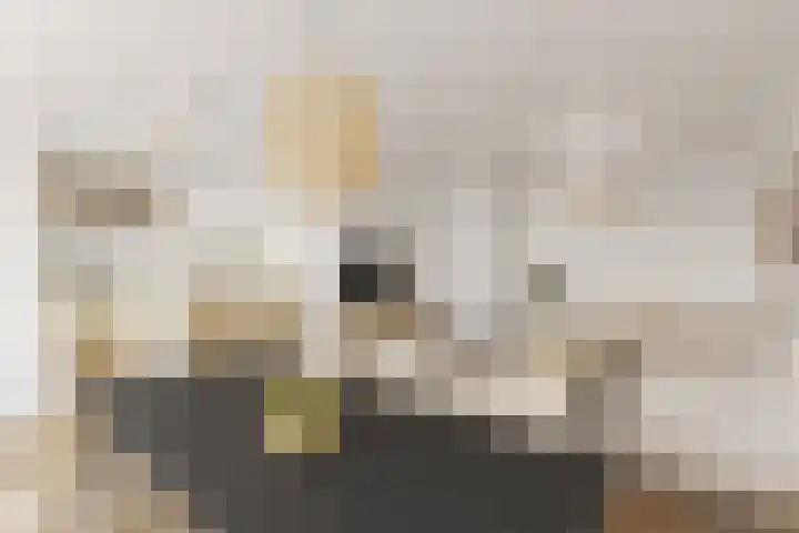 Schepen van Ommerenstraat 144 Arnhem thumbnail 5