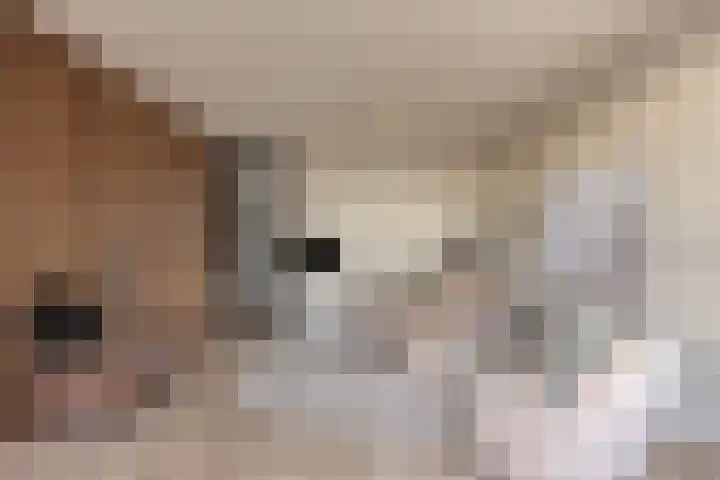 Schepen van Ommerenstraat 383 Arnhem thumbnail 4