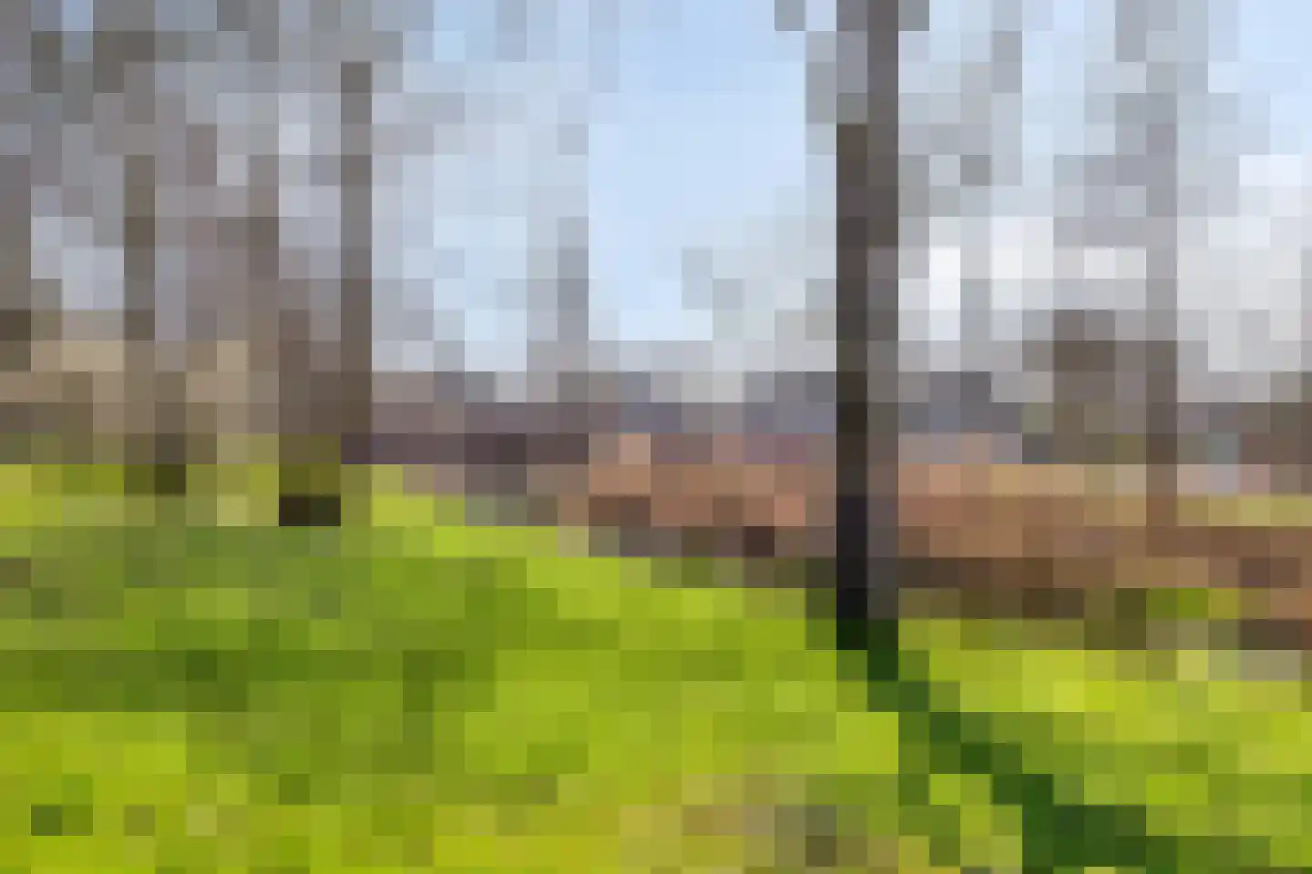 Schepen van Tongelrelaan 12 Nuenen thumbnail 30