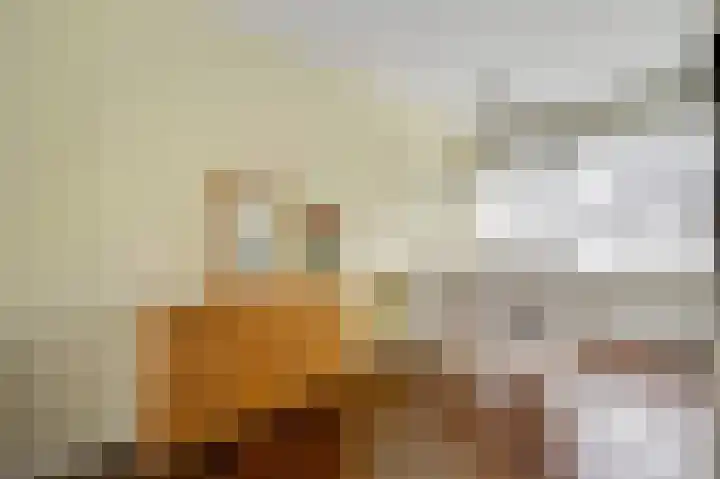 Schepenbank 15 Haelen thumbnail 13