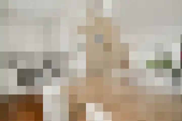 Schepenbank 15 Haelen thumbnail 15