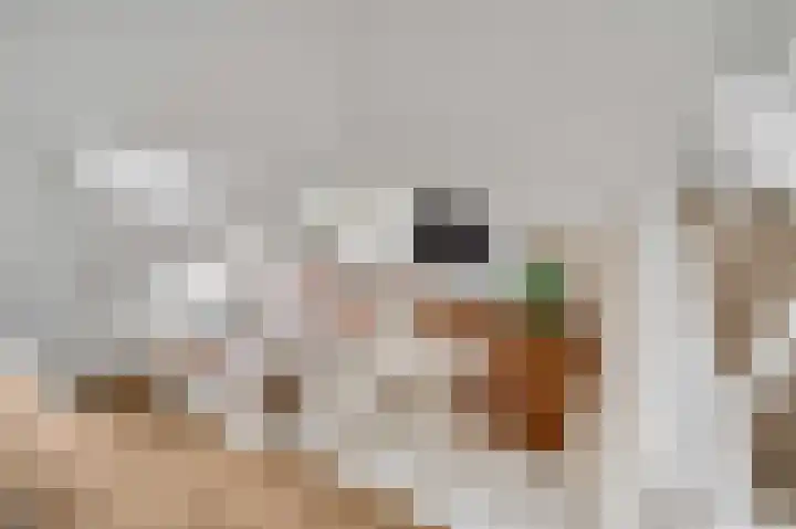 Schepenbank 15 Haelen thumbnail 18