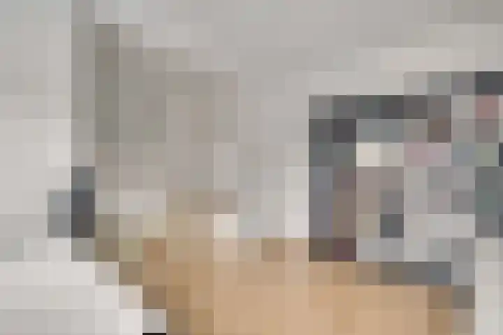 Schepenbank 15 Haelen thumbnail 20