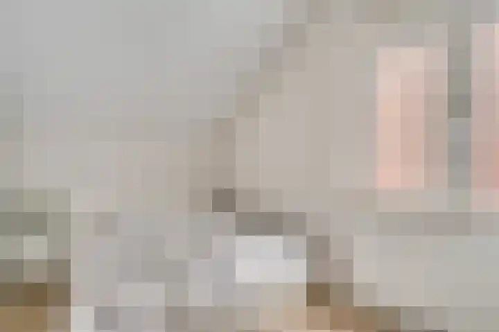 Schepenbank 15 Haelen thumbnail 27