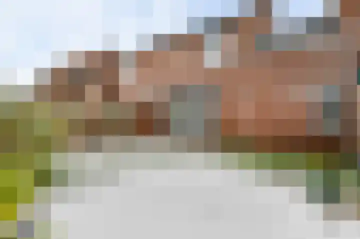Schepenbank 15 Haelen thumbnail 33