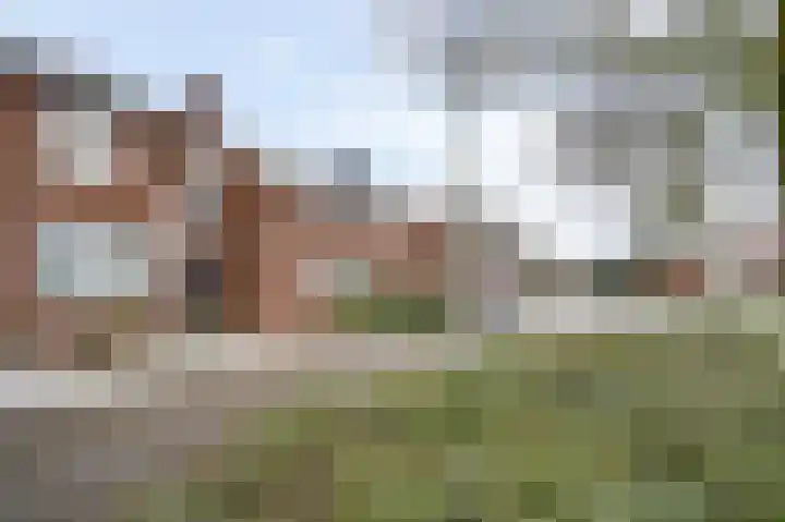 Schepenbank 15 Haelen thumbnail 34
