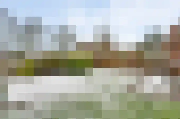 Schepenbank 15 Haelen thumbnail 4