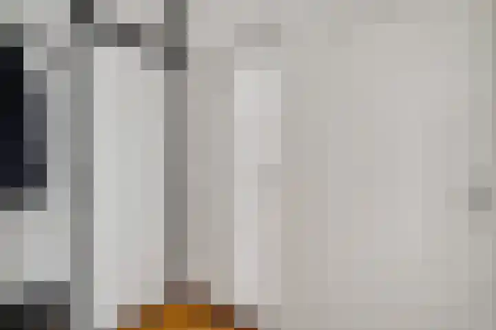 Schepenbank 15 Haelen thumbnail 7