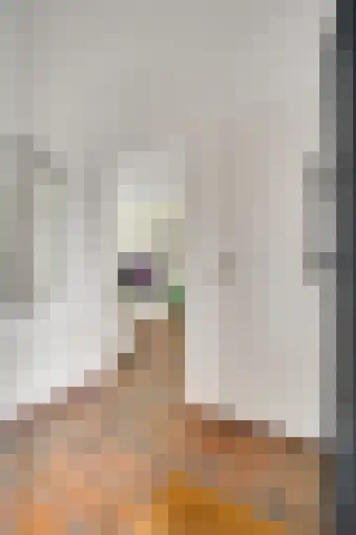 Schepenbank 15 Haelen thumbnail 8