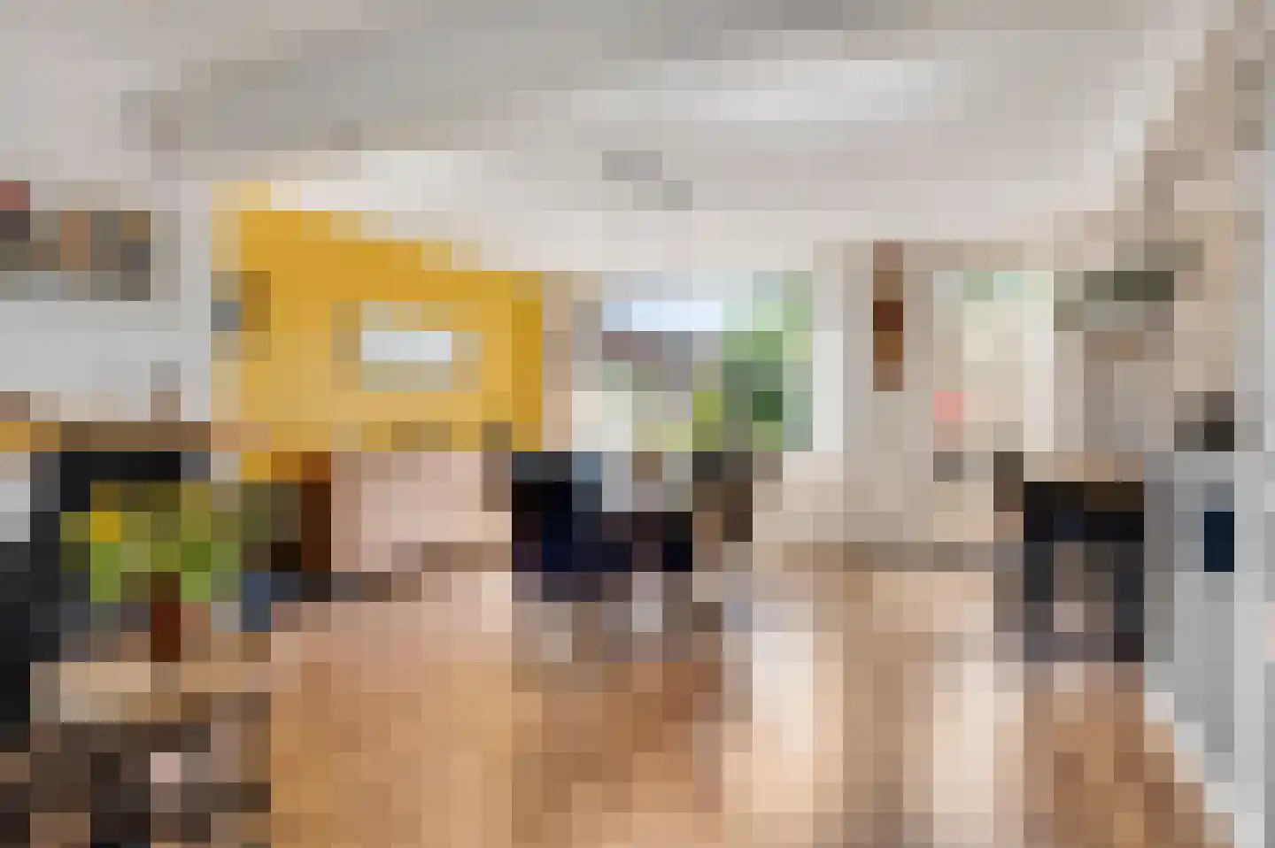 Schepenbank 29 Haelen thumbnail 10