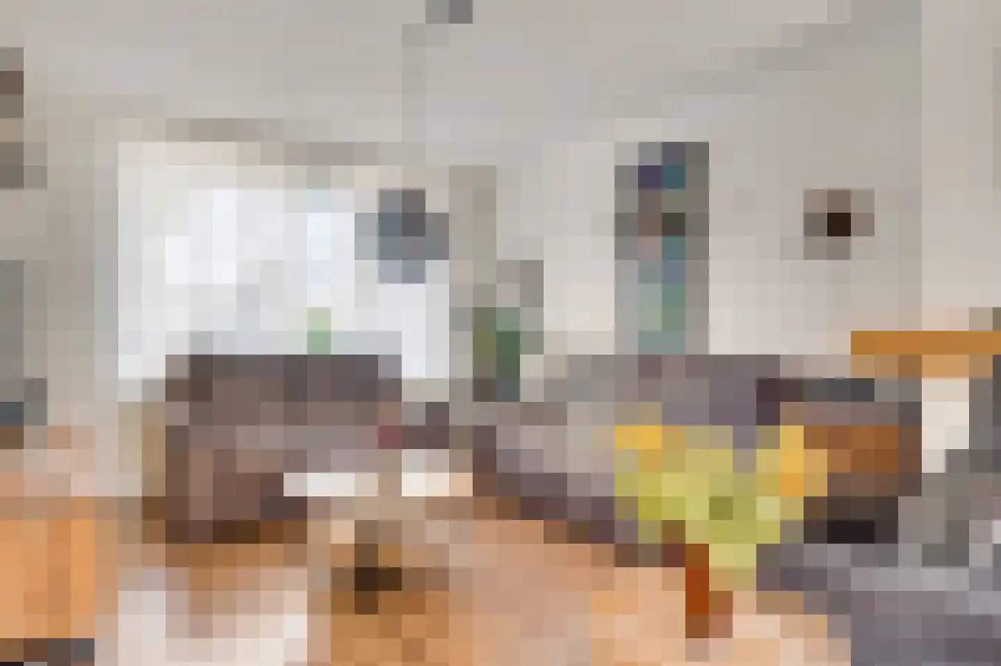 Schepenbank 29 Haelen thumbnail 11