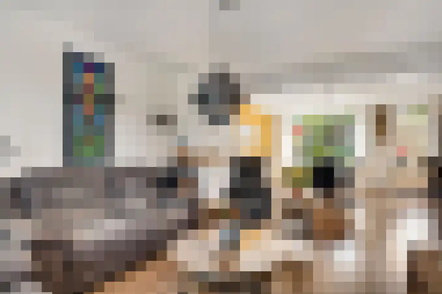 Schepenbank 29 Haelen thumbnail 12