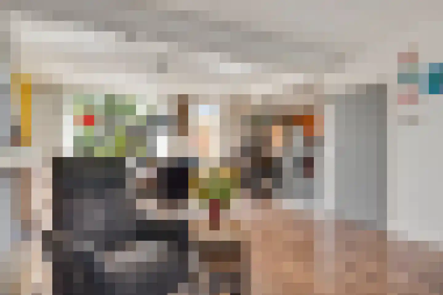 Schepenbank 29 Haelen thumbnail 13