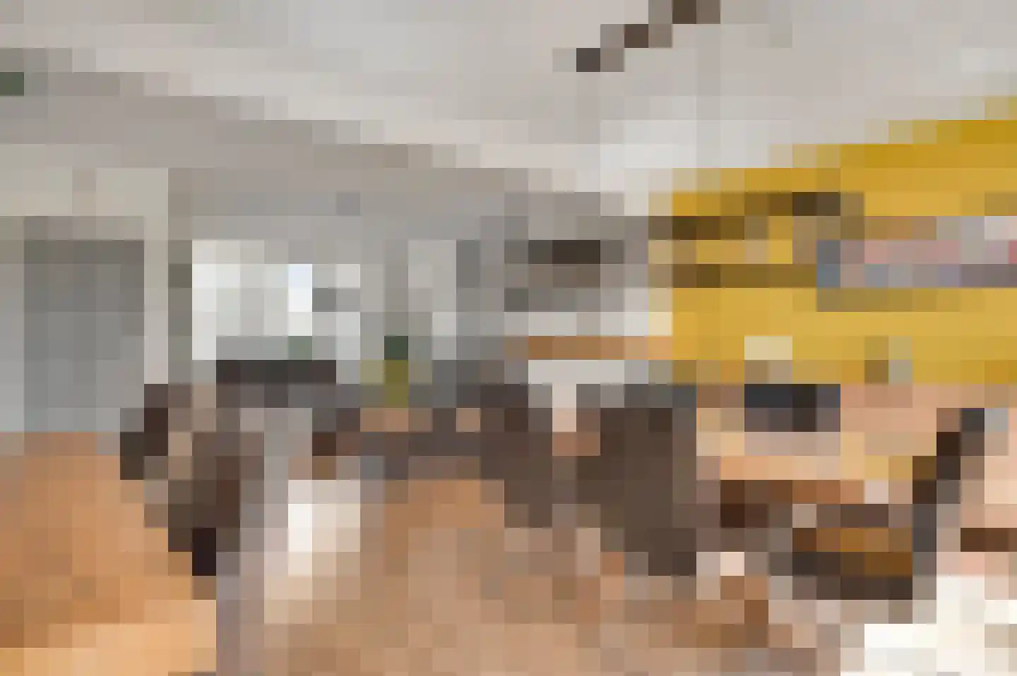 Schepenbank 29 Haelen thumbnail 17