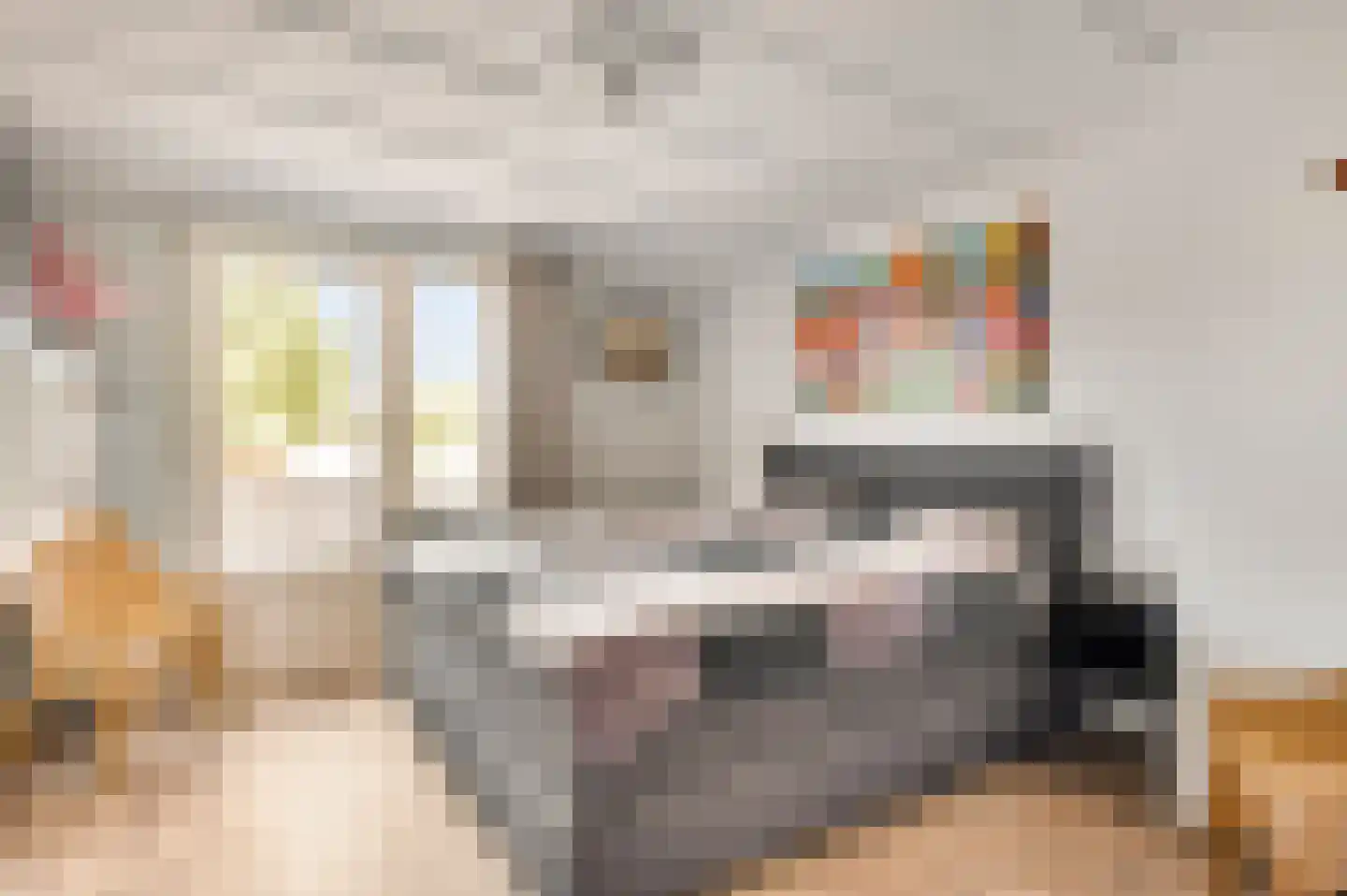 Schepenbank 29 Haelen thumbnail 24