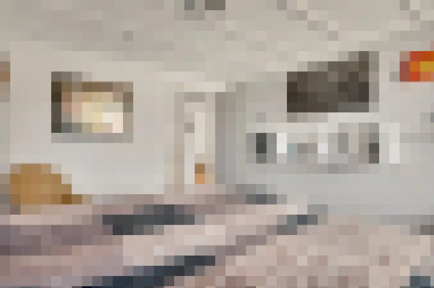 Schepenbank 29 Haelen thumbnail 25