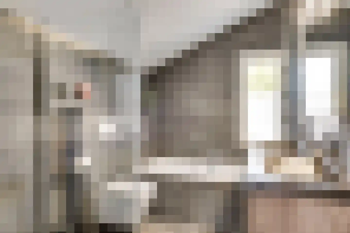 Schepenbank 29 Haelen thumbnail 26
