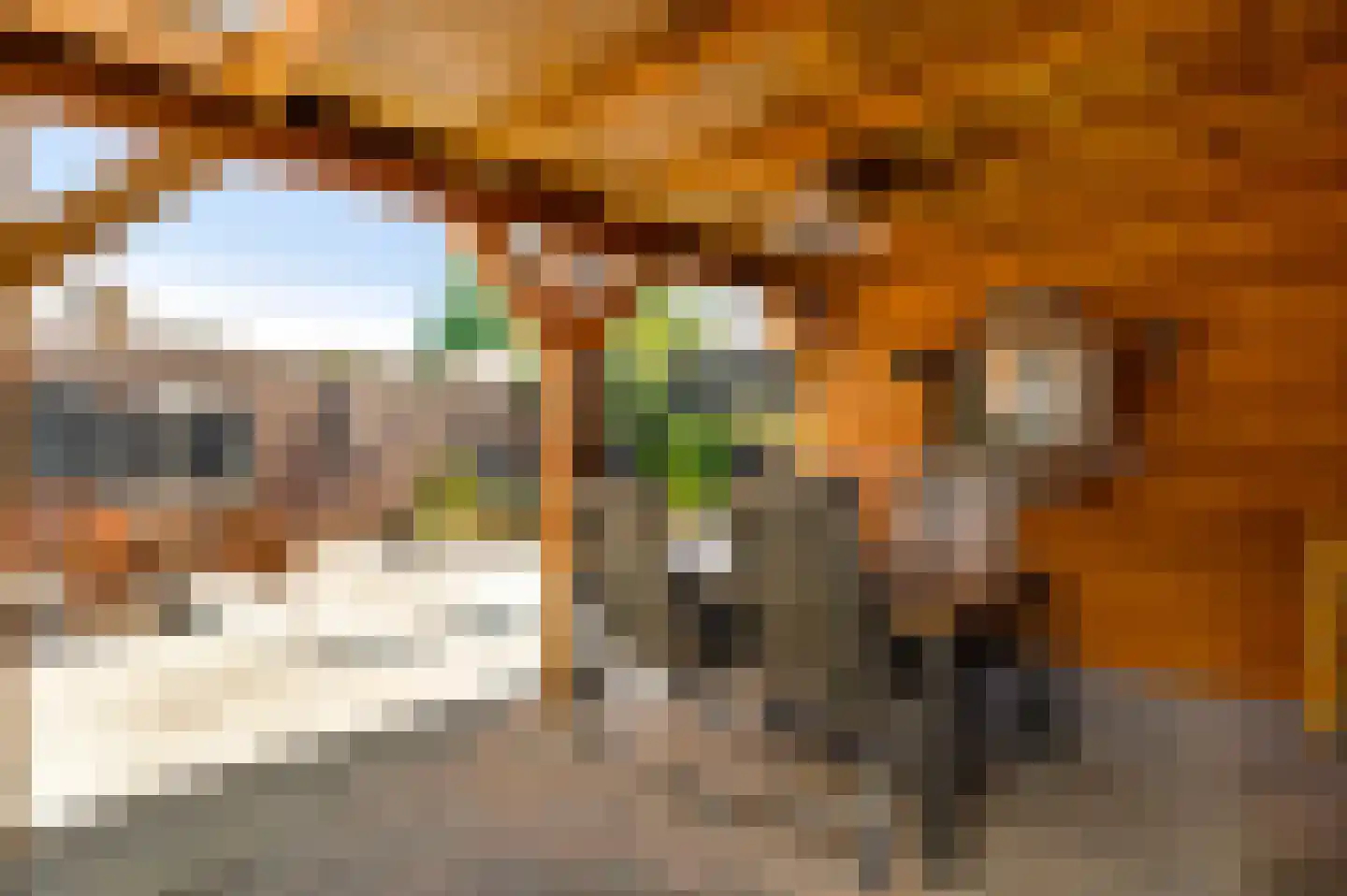 Schepenbank 29 Haelen thumbnail 31