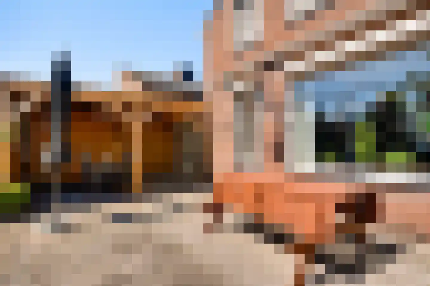 Schepenbank 29 Haelen thumbnail 35