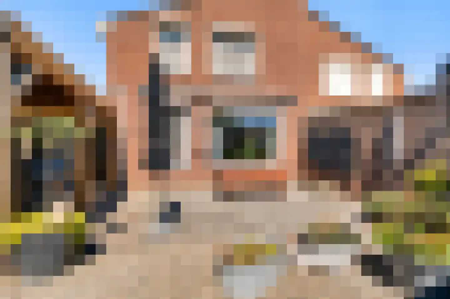 Schepenbank 29 Haelen thumbnail 36