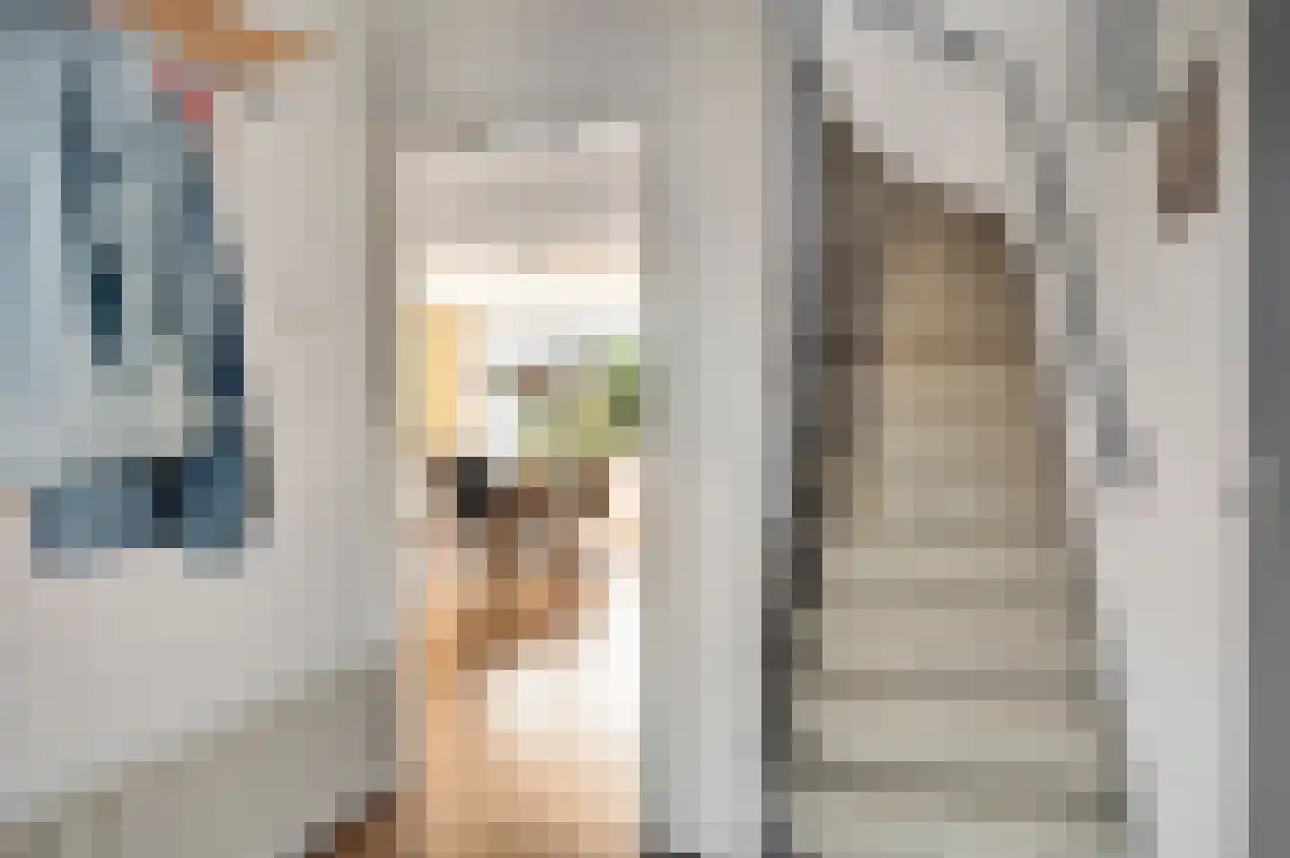 Schepenbank 29 Haelen thumbnail 7