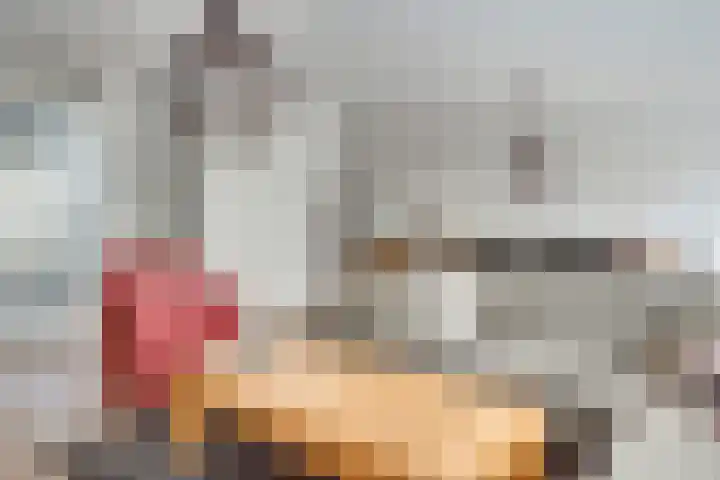 Schepenbank 4 Heeze thumbnail 10