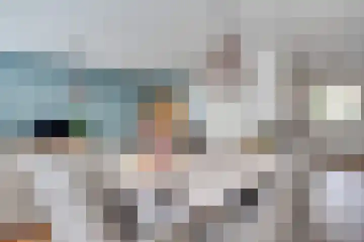 Schepenbank 4 Heeze thumbnail 13