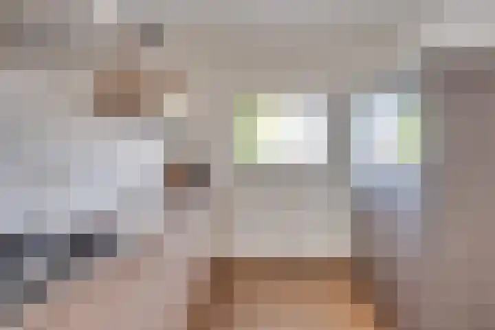 Schepenbank 4 Heeze thumbnail 15