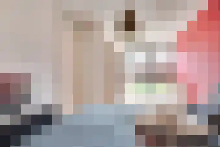 Schepenbank 4 Heeze thumbnail 22
