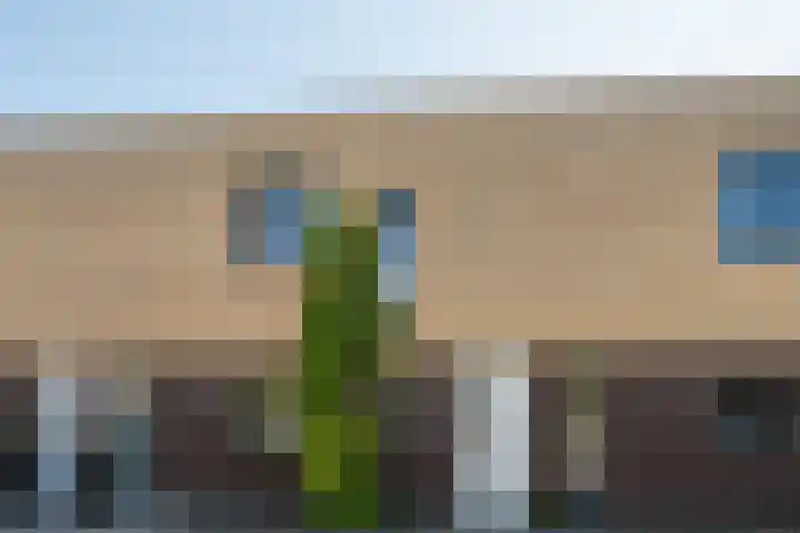 Schepenbank 4 Heeze thumbnail 35