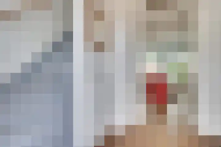 Schepenbank 4 Heeze thumbnail 7