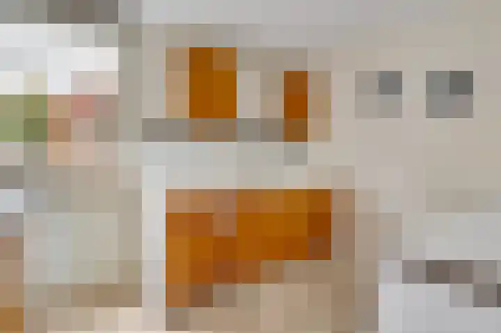 Schepenbank 55 Haelen thumbnail 13