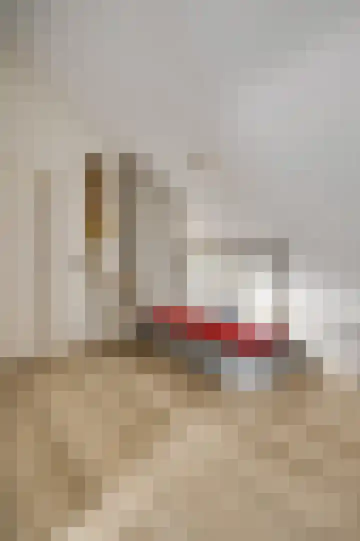 Schepenbank 55 Haelen thumbnail 20