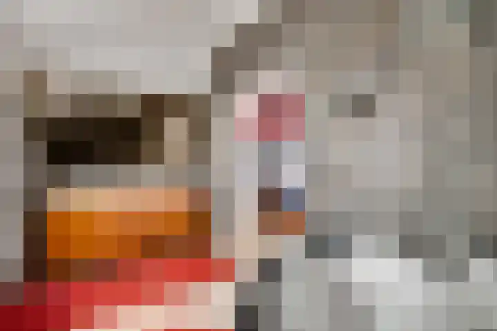 Schepenbank 55 Haelen thumbnail 24