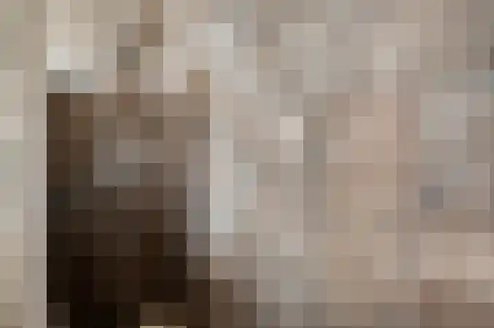 Schepenbank 55 Haelen thumbnail 25