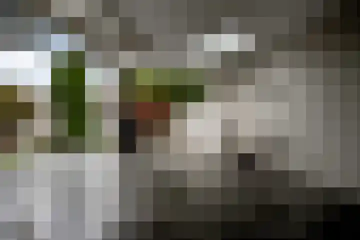 Schepenbank 55 Haelen thumbnail 30