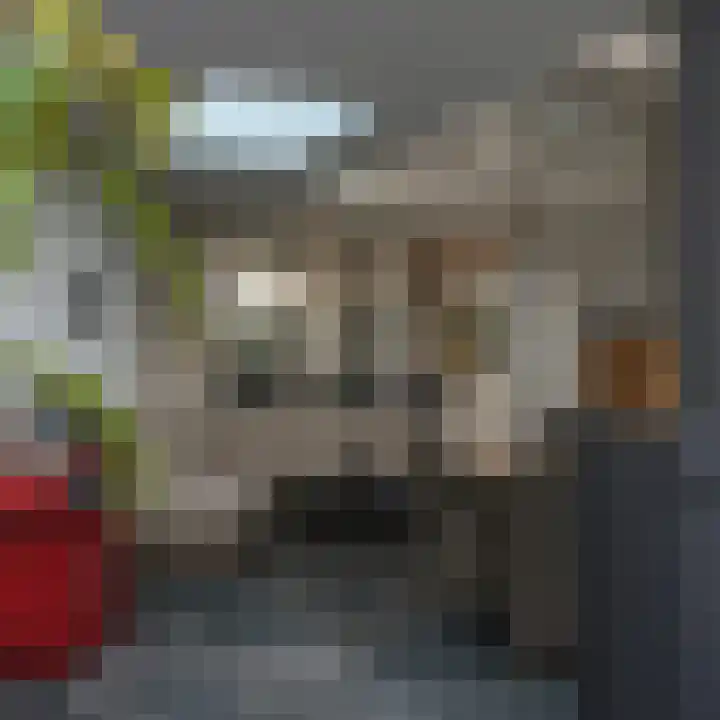 Schepenbank 55 Haelen thumbnail 32