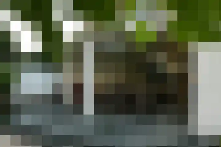 Schepenbank 55 Haelen thumbnail 34
