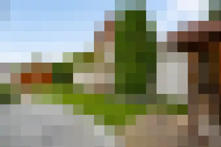 Schepenbank 55 Haelen thumbnail 35